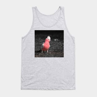 Galah_5139A Tank Top